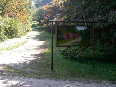 Untitled (installation view west)